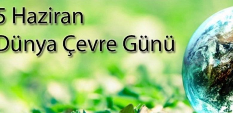 5 Haziran Dünya Çevre Günü: Çevre Katliamını durdurmak için örgütlü mücadeleye!