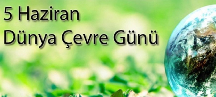 5 Haziran Dünya Çevre Günü: Çevre Katliamını durdurmak için örgütlü mücadeleye!