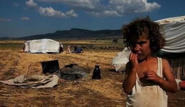Ey Ziya Selçuk: “Neşeli Tatil”i ve “Eğitimde Fırsat Adaleti”ni bir de bizden dinle bakalım! Ey Ziya Selçuk: “Neşeli Tatil”i ve “Eğitimde Fırsat Adaleti”ni bir de bizden dinle bakalım!